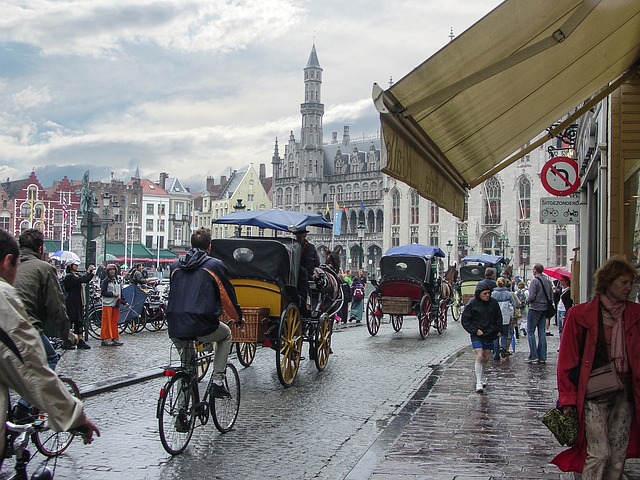 Het beste van Brugge en omgeving