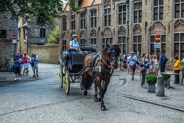 Het beste van Brugge en omgeving